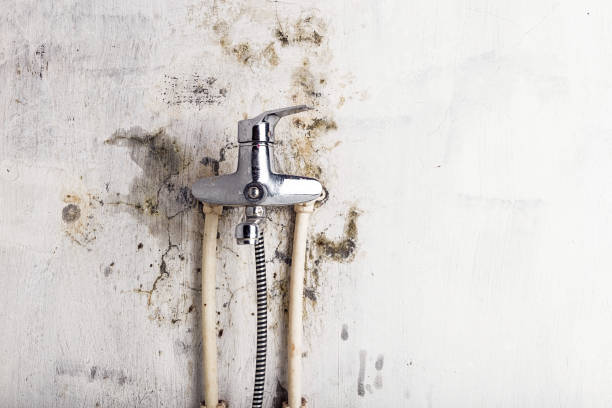 Best Water Damage Restoration  in Sun Prairie, MT