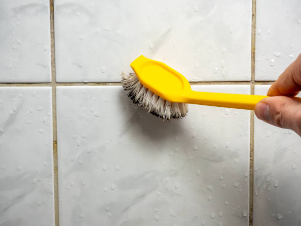 Best Professional Mold Removal  in Sun Prairie, MT