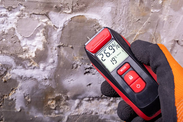 Best Attic Mold Removal  in Sun Prairie, MT