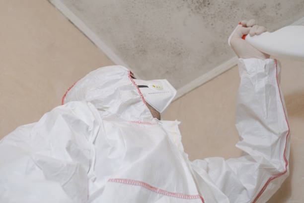Best Mold Cleaning Services  in Sun Prairie, MT